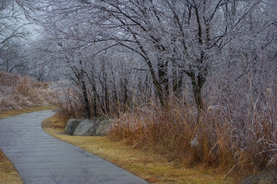 Winter in park