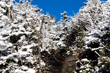 First Snow in the Adirondacks