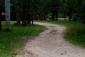 Obraz premium Caminho leve