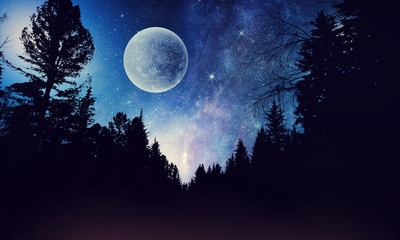 Fototapeta na wymiar Full moon in night starry sky