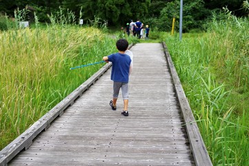 森で昆虫採集をする男の子