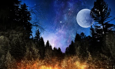 Zelfklevend Fotobehang Volle maan Full moon in night starry sky