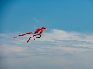 Single kite in a blue sky