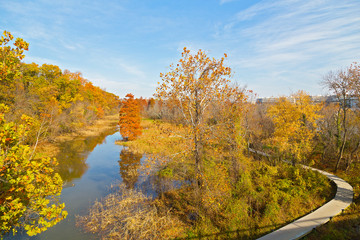 A walkway on Theodore Roosevelt Island in autumn in Washington DC, USA. Swamp Trail runs in parallel to Potomac River that separates the island from Georgetown waterfront.