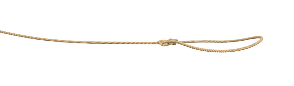 3d rendering of a rope tied in a lasso and flying on a white background.