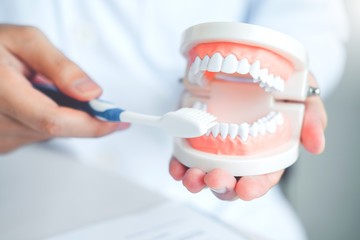 Fototapeta na wymiar Dentist learning how to brush teeth