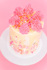Obraz na płótnie Canvas Pink birthday cake