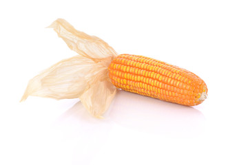 Corncob with dry leaves, isolated on white
