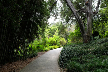 Fototapeta premium Nature path