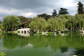 Japanese garden