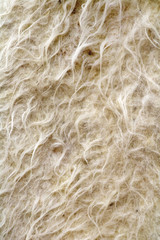 texture Caucasian burka of merino wool
