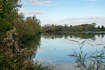 Rund um die Feldkirchner Badeseen in Feldkirchen an der Donau Oberösterreich Österreich