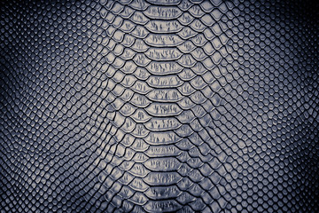 Luxury snake skin texture