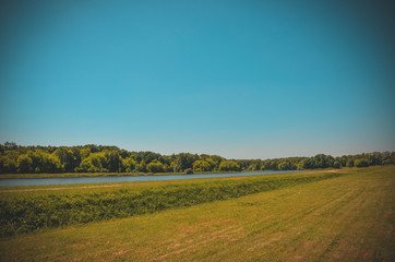 Naklejka premium landscape with wheat field and blue sky
