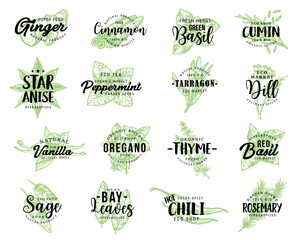 Organic herbs, spices seasonings sketch lettering © Vector Tradition