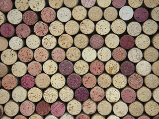 Obraz na płótnie Canvas In a closeup view, the bottom of many real corks, from a combination of red and white bottles of wine, are shown on display.