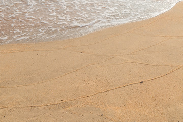 Sand beach and wave