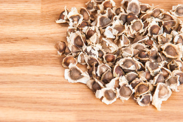 Semillas de Moringa (Moringa oleifera)