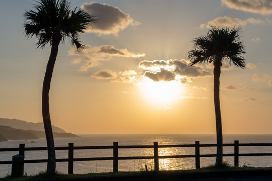 Sunset. The foreground is a palm tree.Coast (Ohama Coast). I shot in Amami Oshima Kagoshima Prefecture Japan.