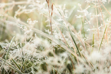 grass is frozen in ice crystals on the backdrop of the setting sun. Vignette is made for artistic effect