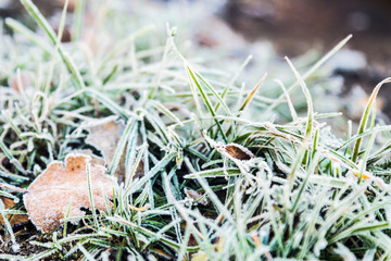 grass is frozen in ice crystals on the backdrop of the setting sun. Vignette is made for artistic effect