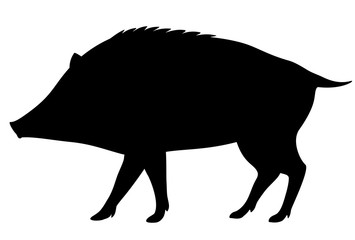 亥年　イノシシ