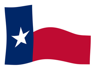 Texas State Flag Wave