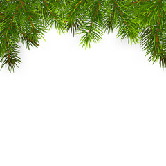 christmas background with fir branches, isolated on white background.