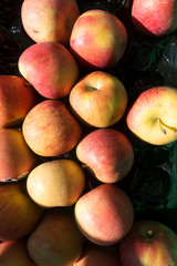 Fresh Organic Red Apples Background