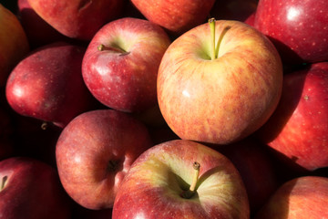 Fototapeta na wymiar Fresh Organic Red Apples Background