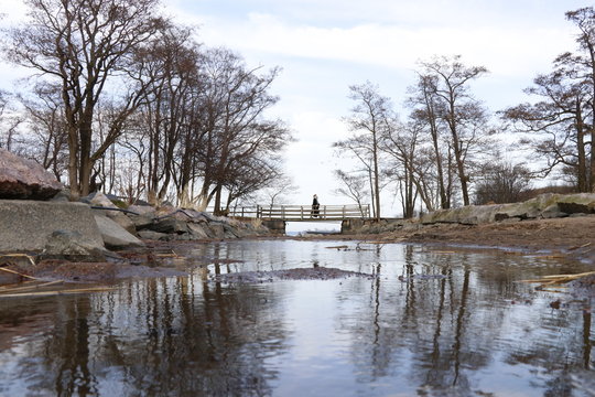 helsink nature 