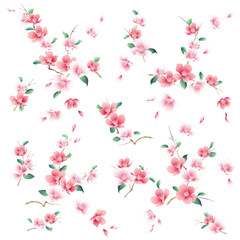 Obraz na płótnie Canvas 日本的な桜