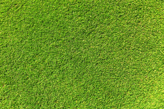 Artificial grass background