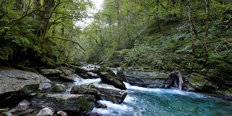 Pays Basque, le gave d' Holzarte