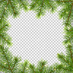 Christmas background with green branches, isolated.