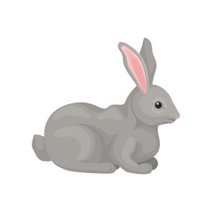 Grey rabbit, wild forest rodent animal vector Illustration on a white background