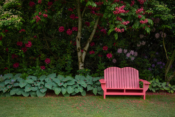 Isolated view of garden with hostas, mowed lawn, blooming trees and wooden fuschia adirondack garden bench, daytime, no sky