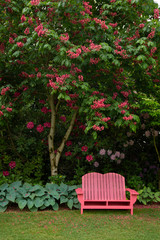 Vertical isolated view of garden with hostas, mowed lawn, blooming trees and  wooden fuchsia adirondack garden bench, daytime, no sky