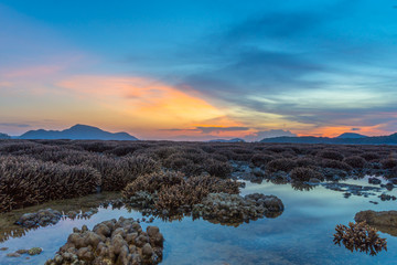 scenery sunrise above the coral reef. coral reef emerges from the water at a reduced water level..during low tide we can see a lot of coral reef and marine fishes around Rawai beach Phuket island.