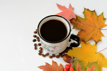A mug of hot black coffee with steam, dry fallen maple leaves, grains and acorn during golden...