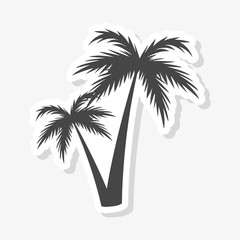 Obraz premium Silhouette palm tree, Palm tree sticker