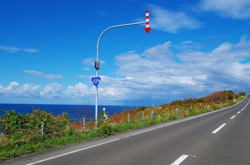 海辺の道と矢羽根