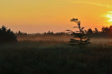 Fototapeta na wymiar Morning in the steppe, red sky, sunrise