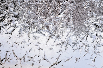 Frozen iced background. Ice pattern on the glass. Macro frost turn into negative black white photo