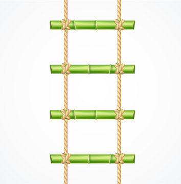 Realistic 3d Detailed Green Bamboo Ladder. Vector