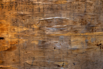 Dark wood texture background. Background of natural texture of old cracked dark wood for design. Wooden boards with a shield