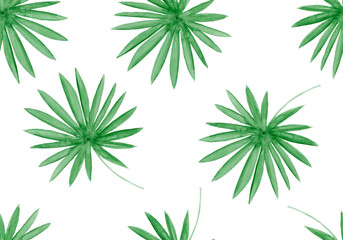 Fototapeta premium Watercolor tropical palm leaves seamless pattern. Hand drawn illustration.
