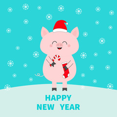 Happy New Year. Christmas. Pig holding candy cane, sock. Red Santa Claus hat. Cute funny cartoon character on snowdrift. Flat design. Blue winter background with snow flake.