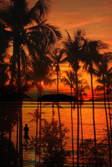 silhouette of coconut trees at sunset time on the beach,landscape