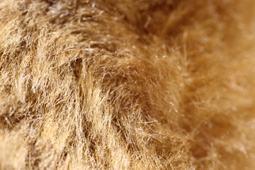 Plush fabric background